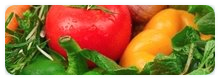 Menus Restauration Scolaire