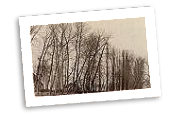 Ile de Vaux 26 janvier 1890