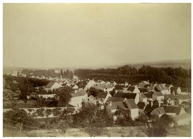 Vaux (est) de la côte du château, 25 avril 1888